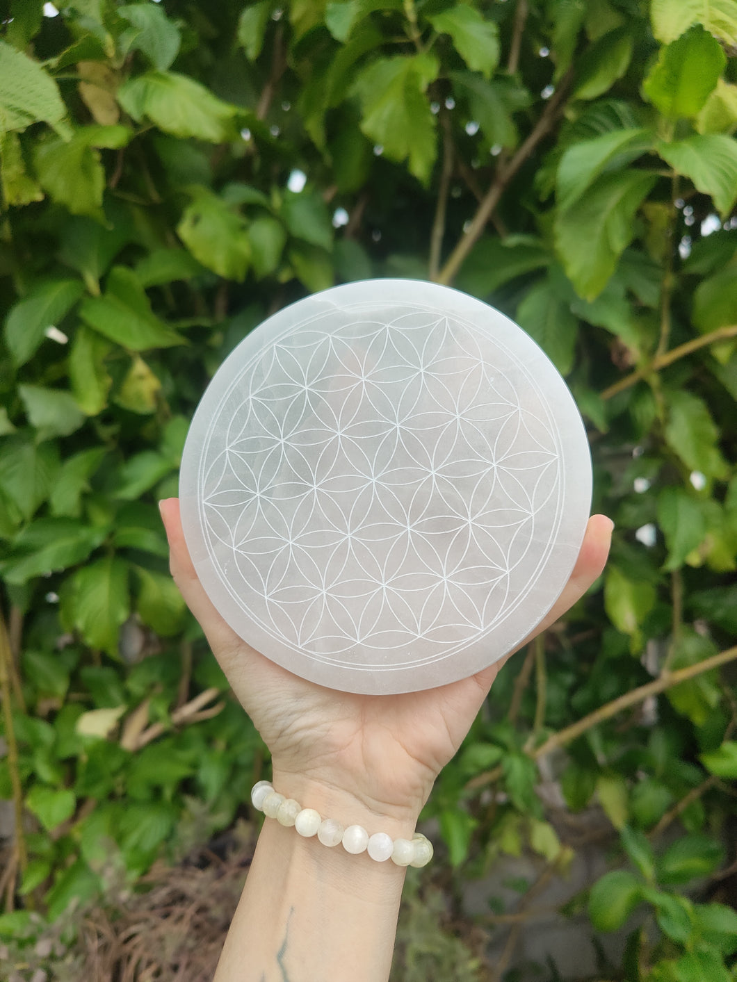 Disque Selenite • Fleur de vie